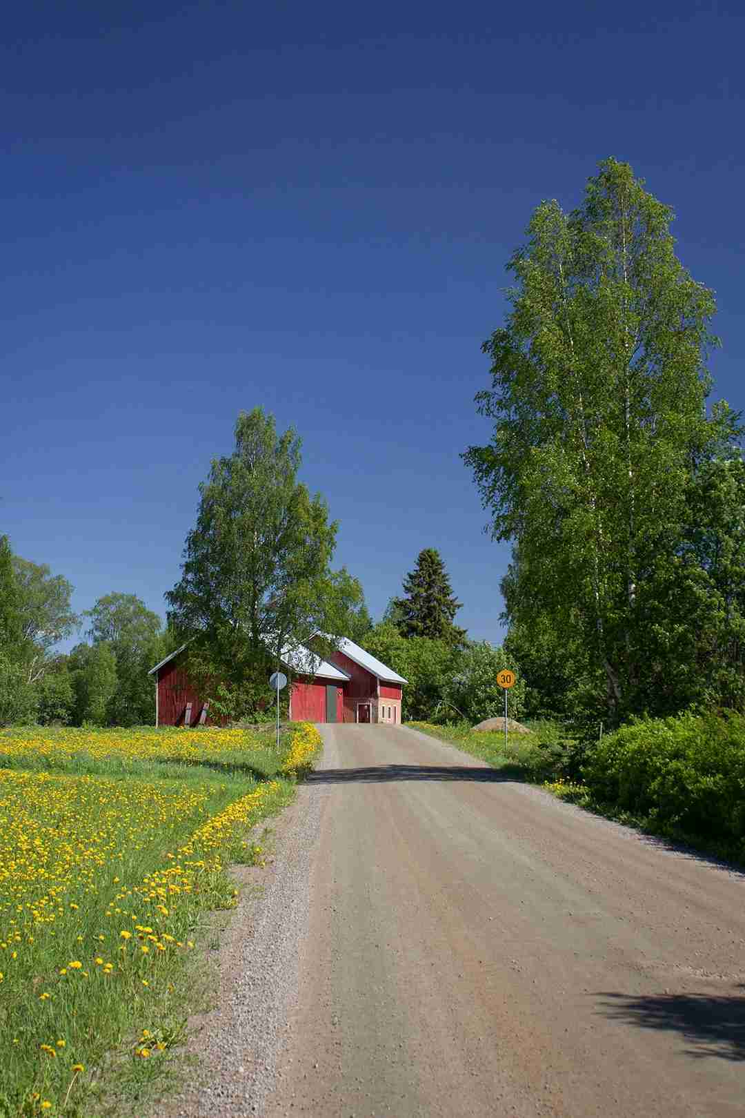 Hopeakorujen puhdistus